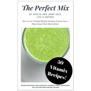 Vitamix Recipes Pdf | Dandk Organizer